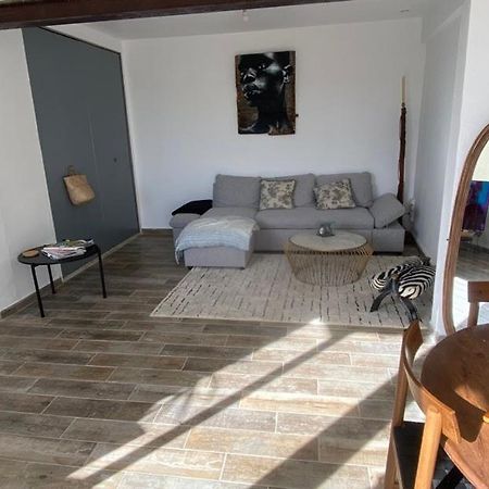 Maison Plein Sud Sur Les Toits Au 2 Terrasses مونتانياك المظهر الخارجي الصورة